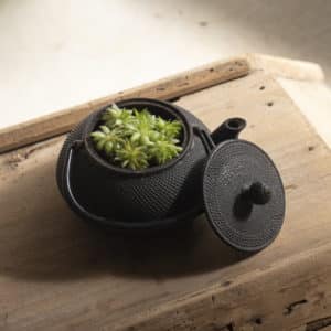 Théière en cache-pot « Lin »