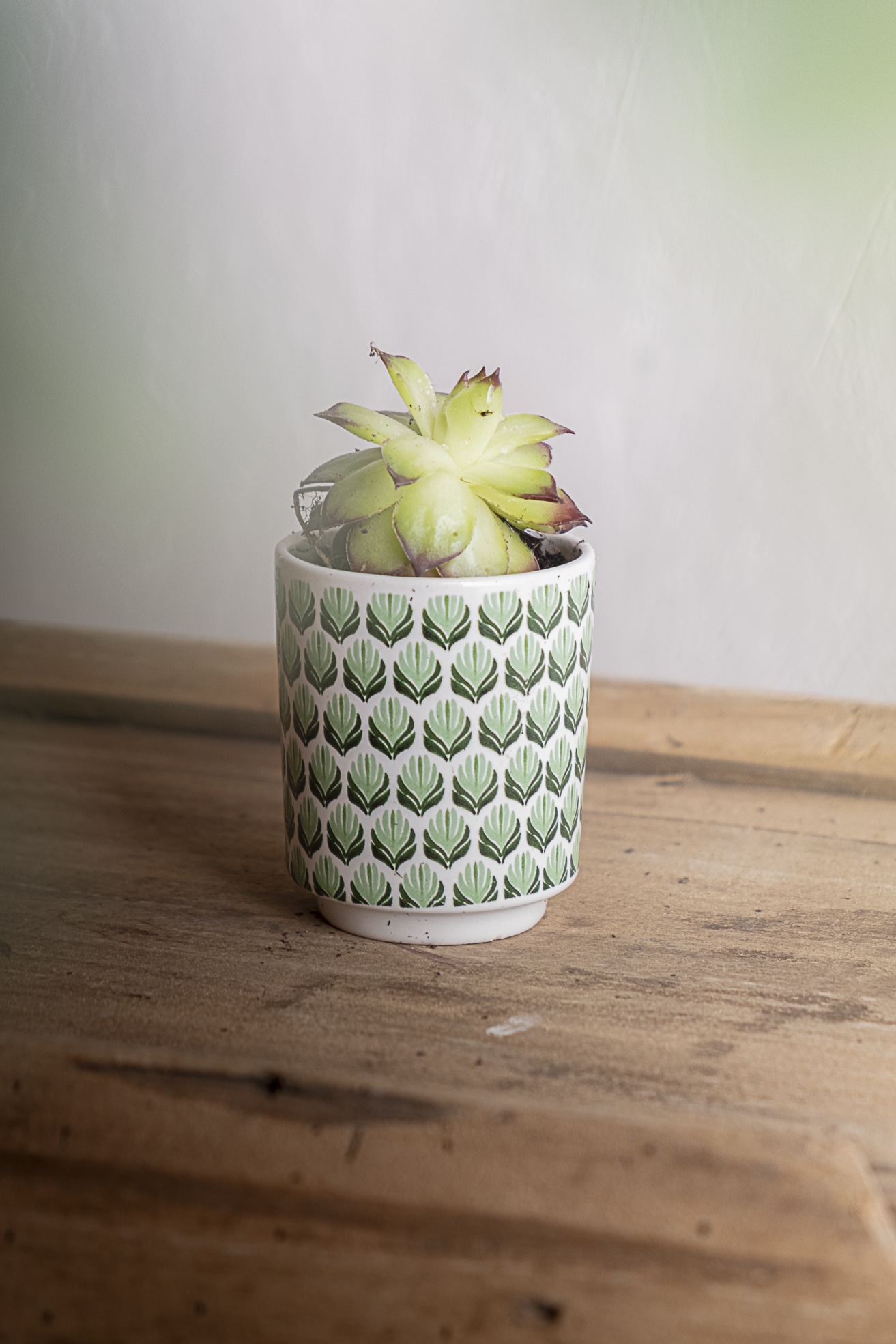 Petit cache-pot « Olivine »