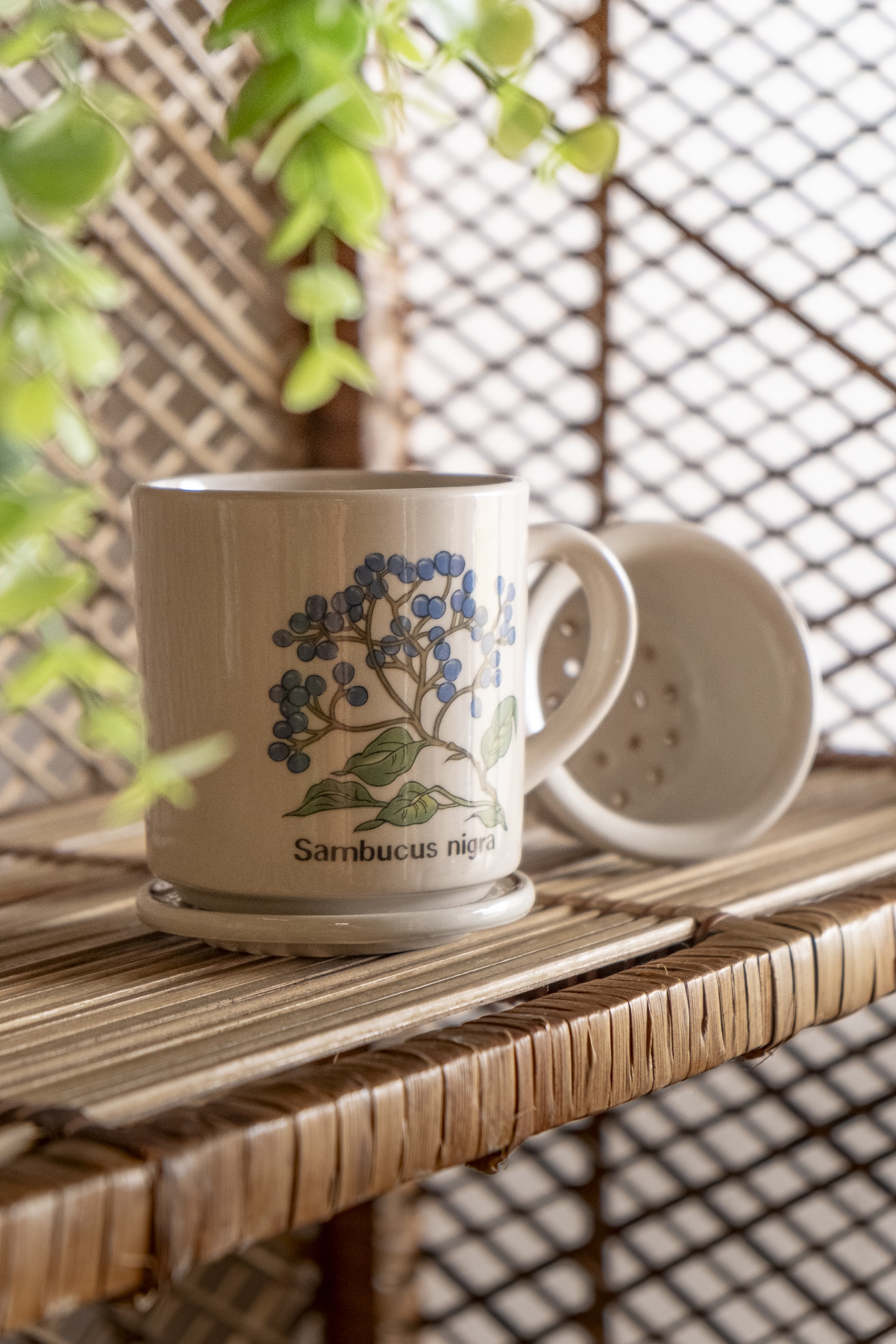 Mug à infusion « Botanique »