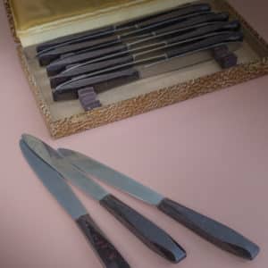 Set de 12 couteaux en coffret « Clarisse »