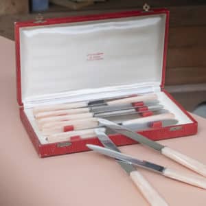 Set de 10 couteaux en coffret « Églantine »