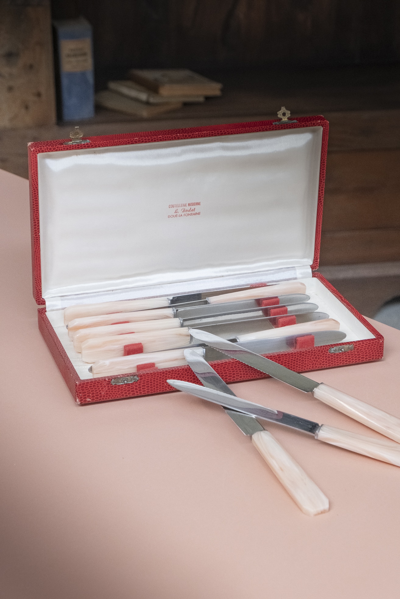 Set de 10 couteaux en coffret « Églantine »