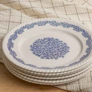 Lot de 5 assiettes plates « Indigo »