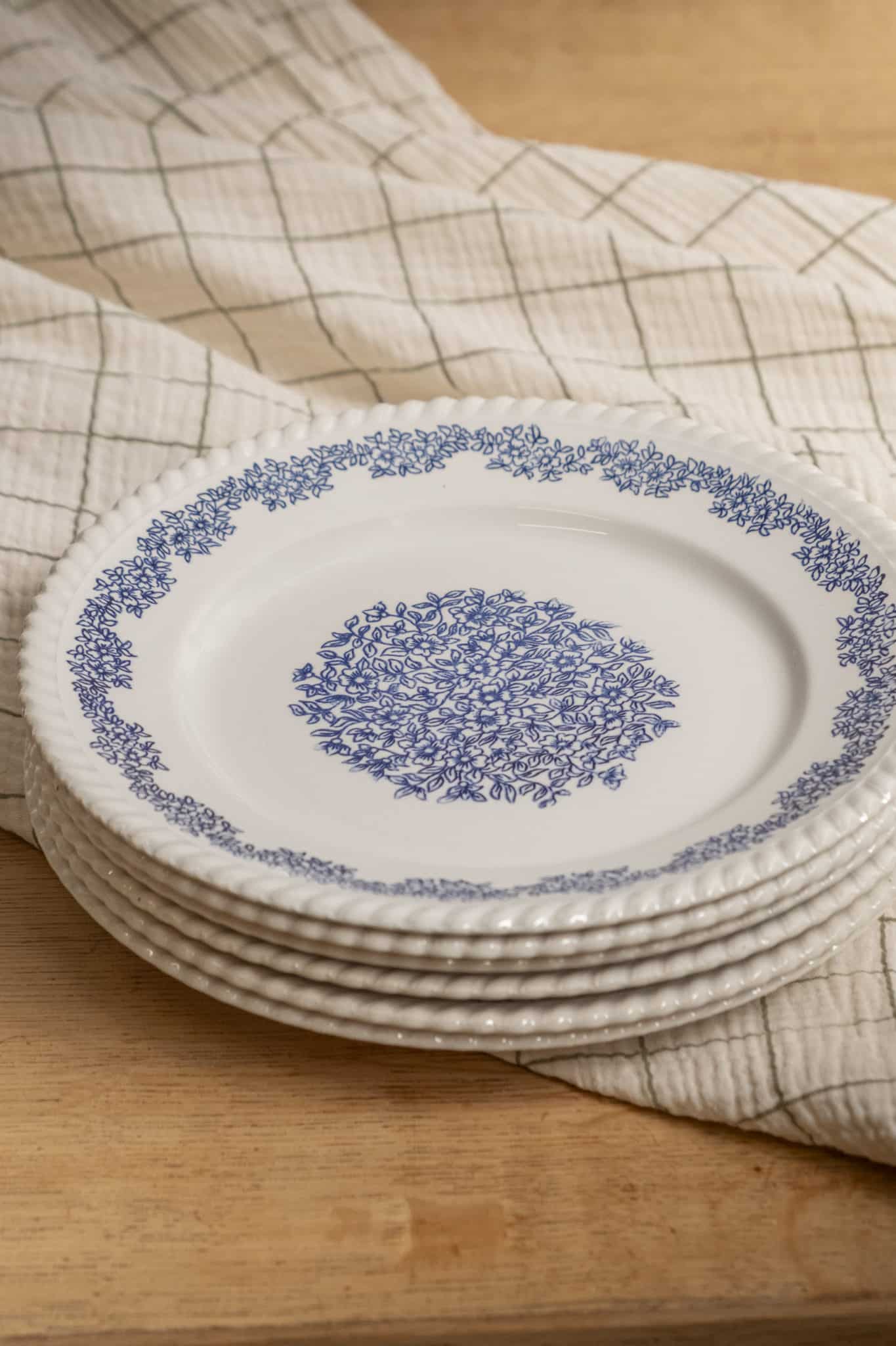 Lot de 5 assiettes plates « Indigo »
